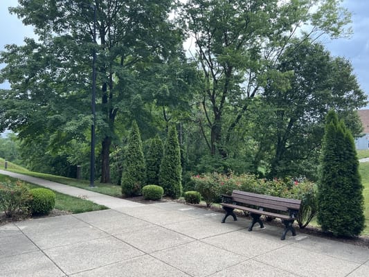 Walking path and benches in a landscaped outdoor area