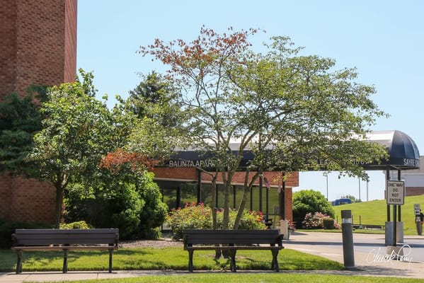 Outdoor seating area with benches and greenery