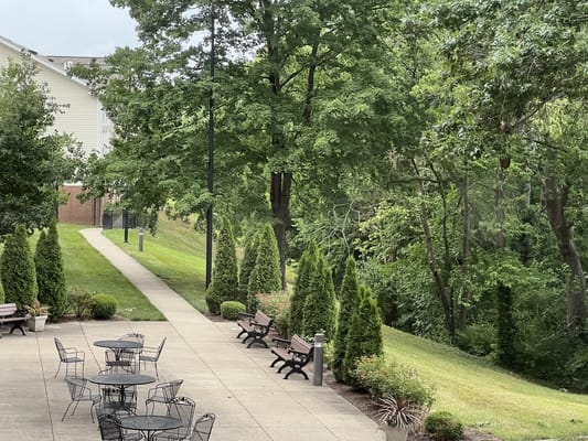 Outdoor pathway with seating and greenery