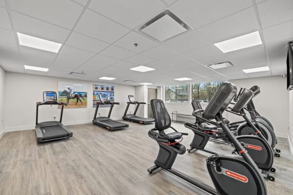 Spacious gym with treadmills and exercise bikes