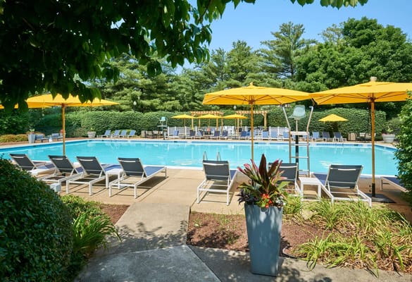 Outdoor pool with lounge chairs and yellow umbrellas