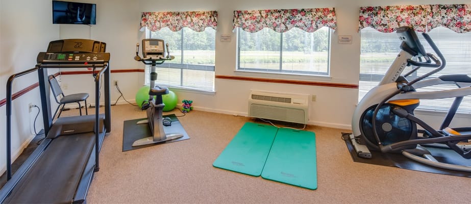 Fitness equipment including a treadmill, stationary bike, and exercise mats in a bright room.