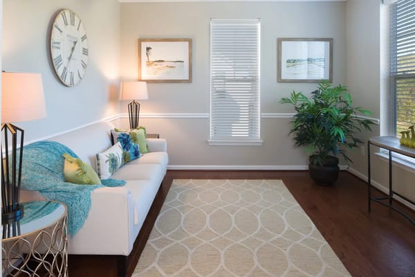 Bright common area with sofa, decor, and plants
