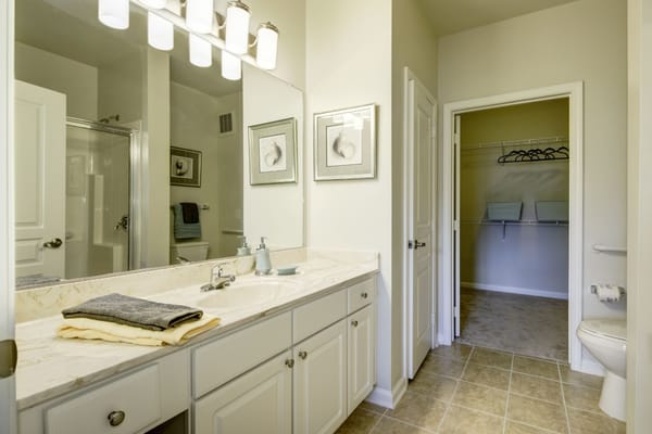 Well-lit bathroom featuring a double vanity and walk-in closet.