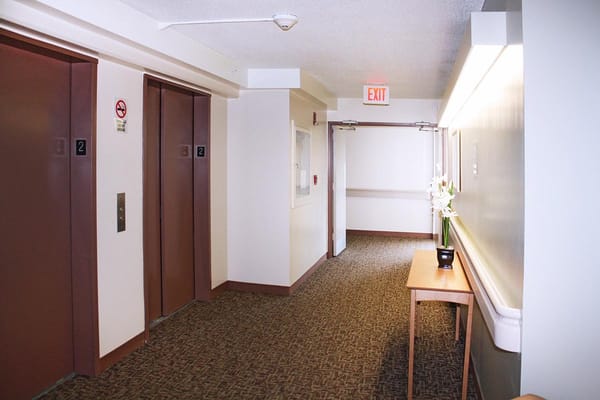 A quiet hallway with elevators and decorative flowers