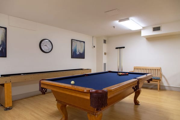 Interior view of a billiard room with a pool table