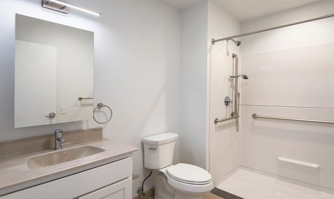 Modern bathroom with a shower and vanity