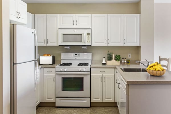 Well-equipped kitchen with modern appliances