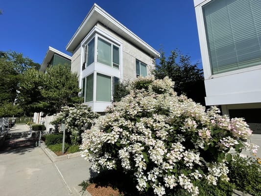 Exterior view of the building with blooming flowers
