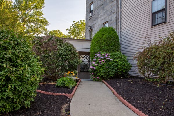 Pathway leading to the facility entrance with landscaped gardens
