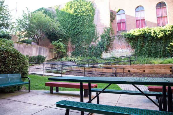 Outdoor seating area surrounded by greenery