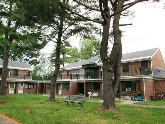 View of Norumbega Gardens’ exterior with trees and a bench.