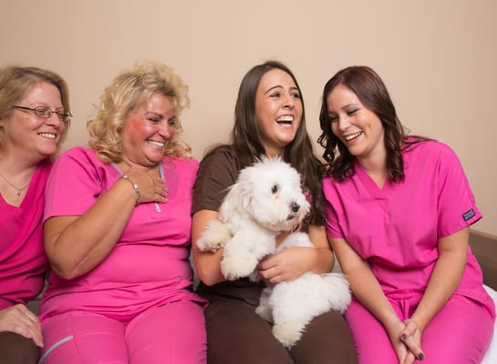 Staff members smiling and interacting with a dog