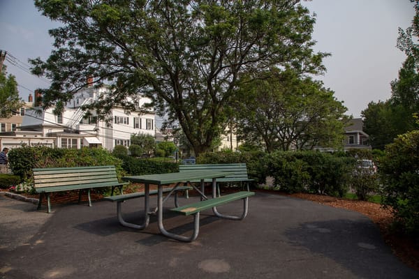 Outdoor seating area with trees and greenery