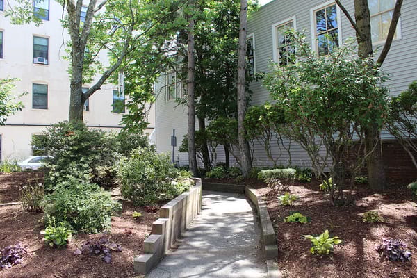 Pathway through a landscaped garden with trees