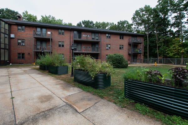 View of the garden area with raised planters and brick apartment building.