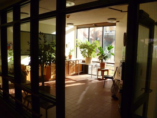 A sunlit common area with potted plants and wooden furniture
