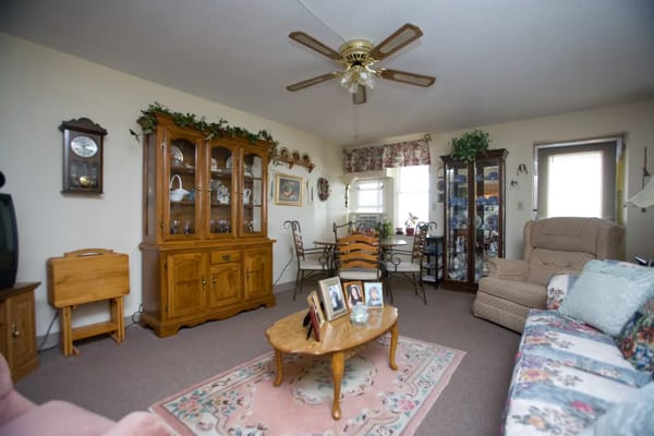 Cozy living room with furniture and decorative elements
