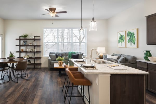 Bright interior kitchen and living area with modern decor
