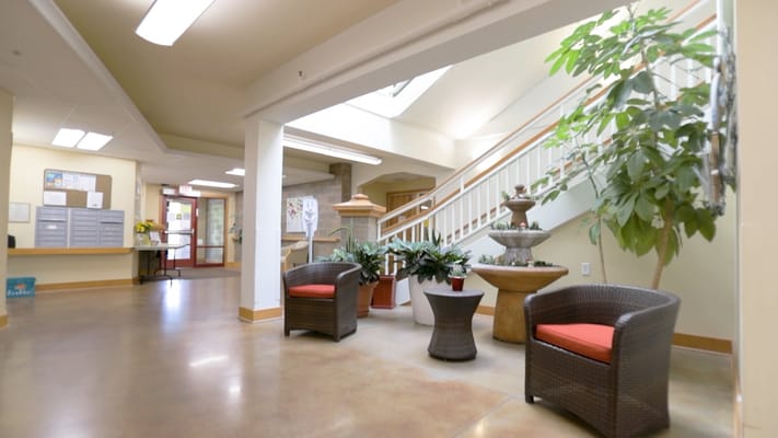 Bright and inviting common area with plants and seating