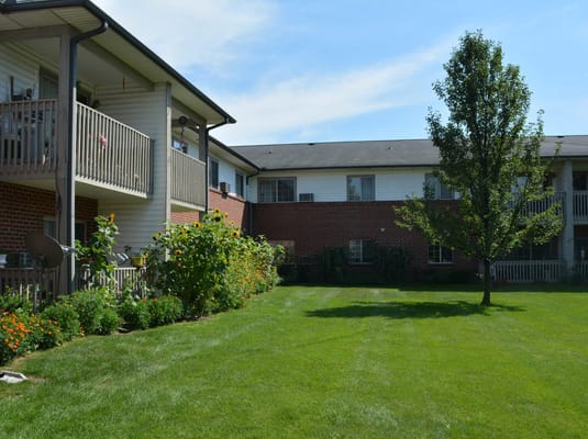 Outdoor garden area with buildings in the background