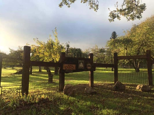 A peaceful outdoor area with greenery