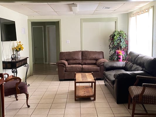 Cozy common area with sofas and plants