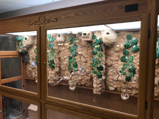 A wooden bird enclosure filled with green foliage and nests.
