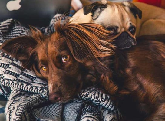 Market Mill Apartments