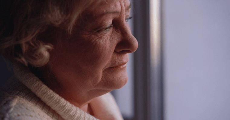 Laurelwood at The Pinehills