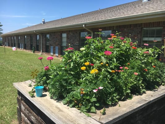 Vibrant flower garden in front of a senior living facility