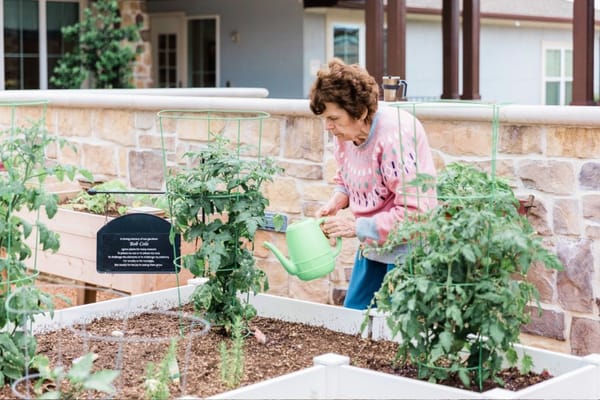 Resident watering plants in a garden