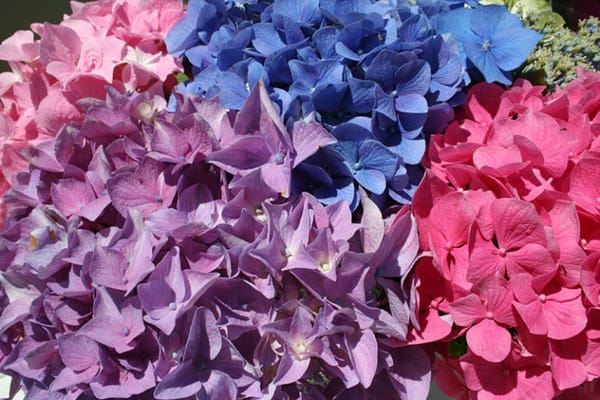 All Seasons Residential Care