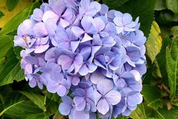 All Seasons Residential Care