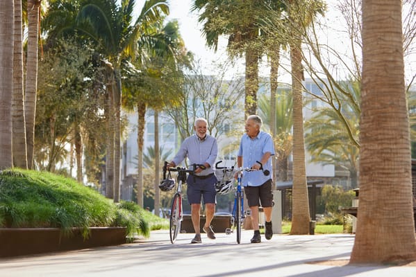 Two elderly men walking with bicycles in a sunny outdoor space