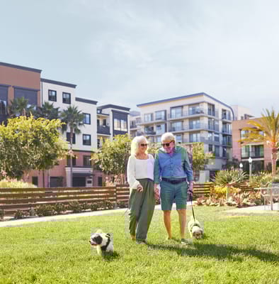 Seniors walking dogs in a lush outdoor area