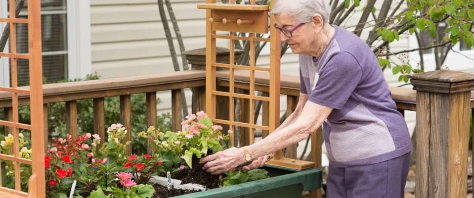 A resident gardening on a deck with flowers