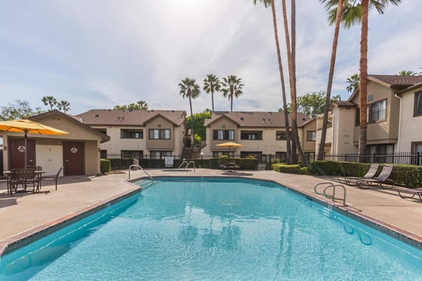 View of the pool surrounded by apartment buildings and palm trees.