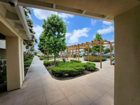 Garden area with pathways and greenery at Tyrol Plaza Senior Apartments