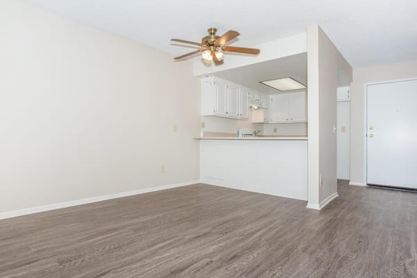 Bright interior of a senior apartment with kitchen area