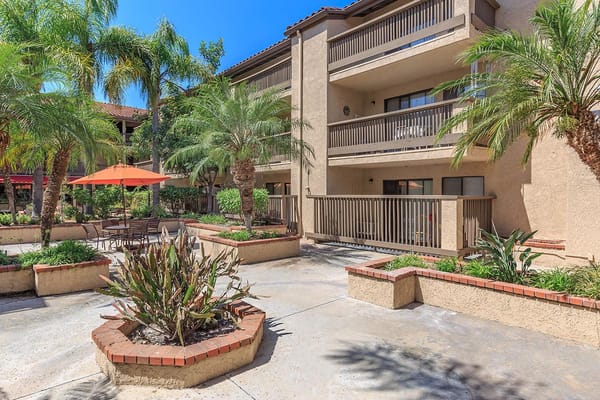 Outdoor garden area with palm trees and seating