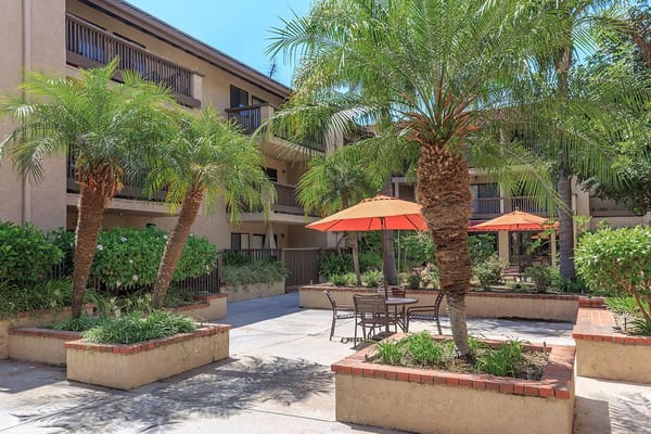 Outdoor courtyard area with palm trees and seating