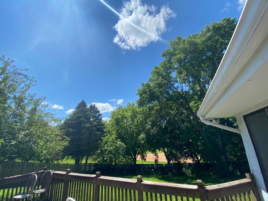 View of a sunny outdoor space with trees