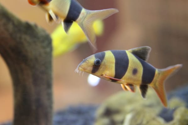 Long Beach Assisted Living