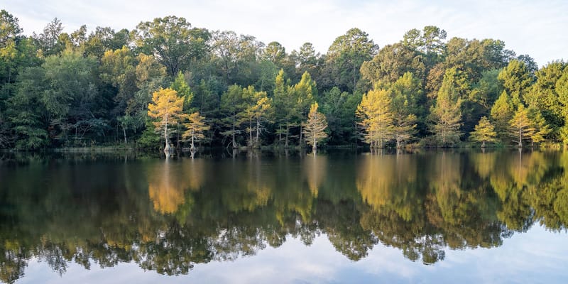 Covington Post Acute