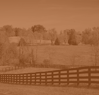 The Homeplace of Henderson