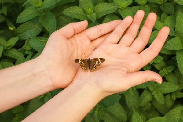 Pearls of Wisdom Eldercare