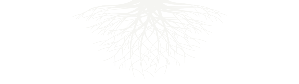 Serenity Personal Care Home and Assisted Living, LLC