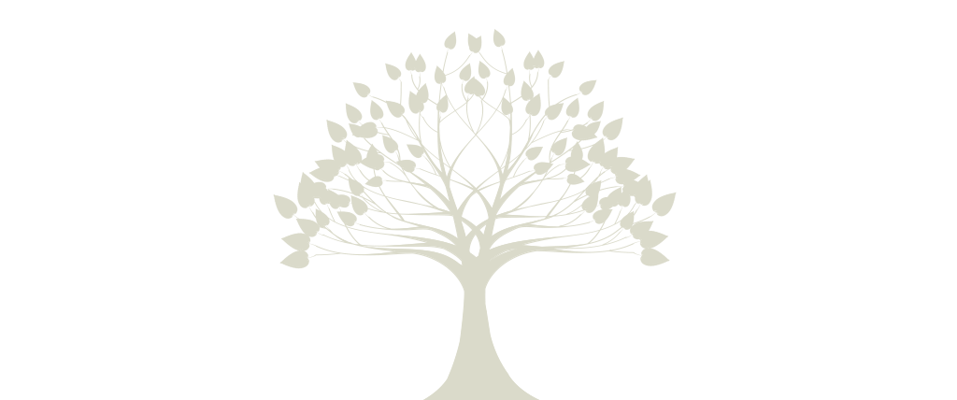 Serenity Personal Care Home and Assisted Living, LLC