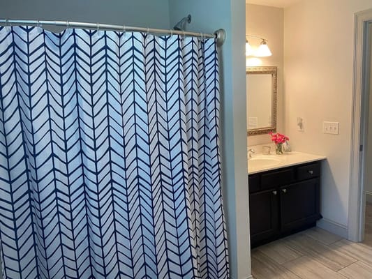A view of a private bathroom with a decorative shower curtain and vanity.